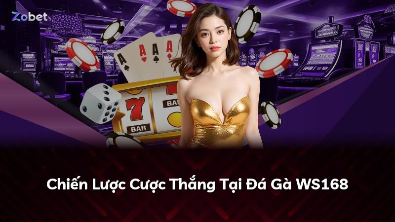 Chiến Lược Cược Thắng Tại Đá Gà WS168