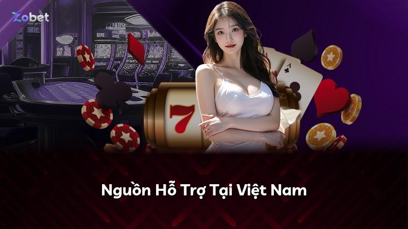 Nguồn Hỗ Trợ Tại Việt Nam