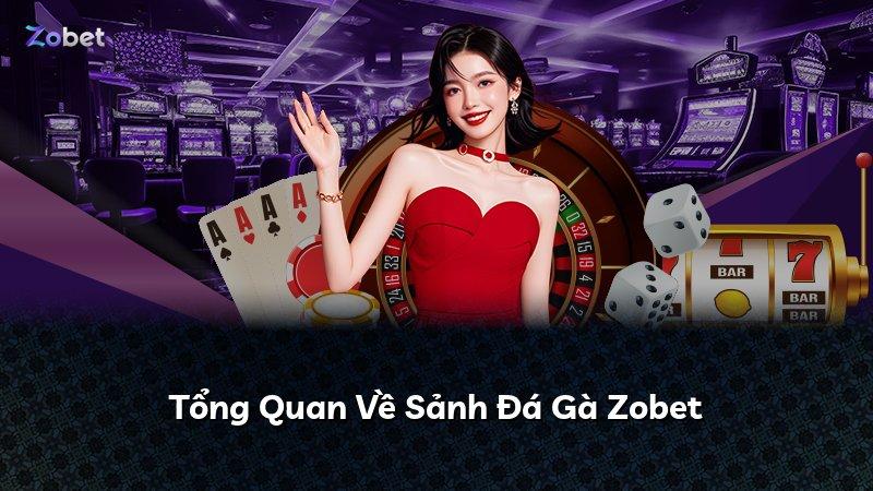 Tổng Quan Về Sảnh Đá Gà Zobet